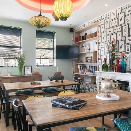 Bougainville By Happyculture