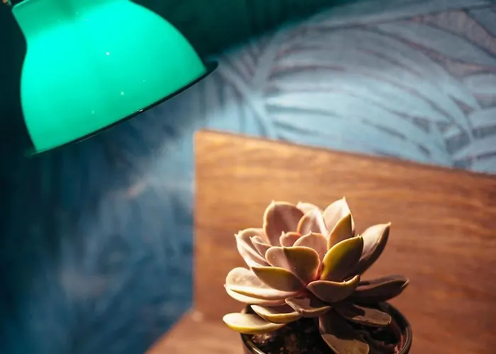 Bougainville By Happyculture Hotel