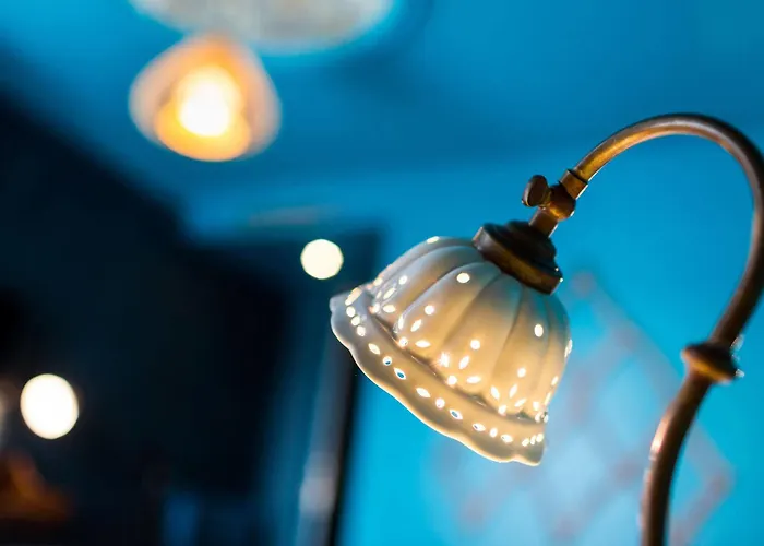 Bougainville By Happyculture Nizza